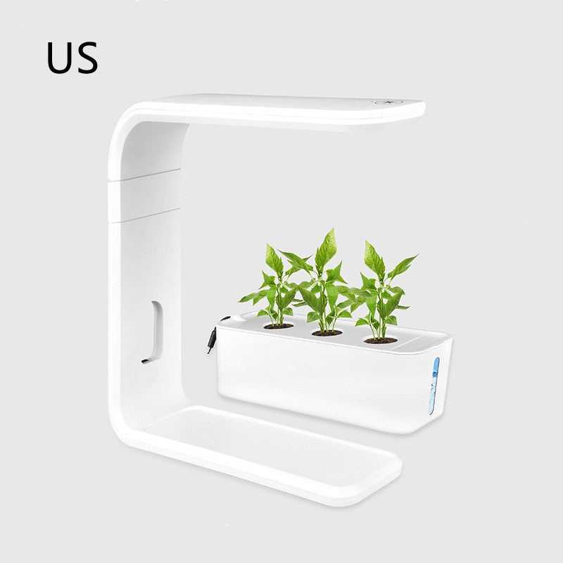Indoor Plant Planter