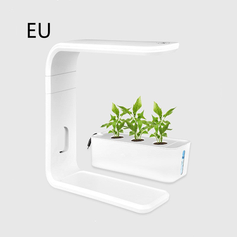 Indoor Plant Planter