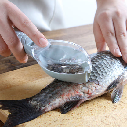 Scraping Fish Scale