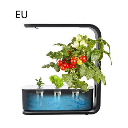 Indoor Plant Planter