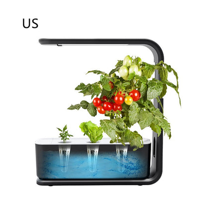 Indoor Plant Planter