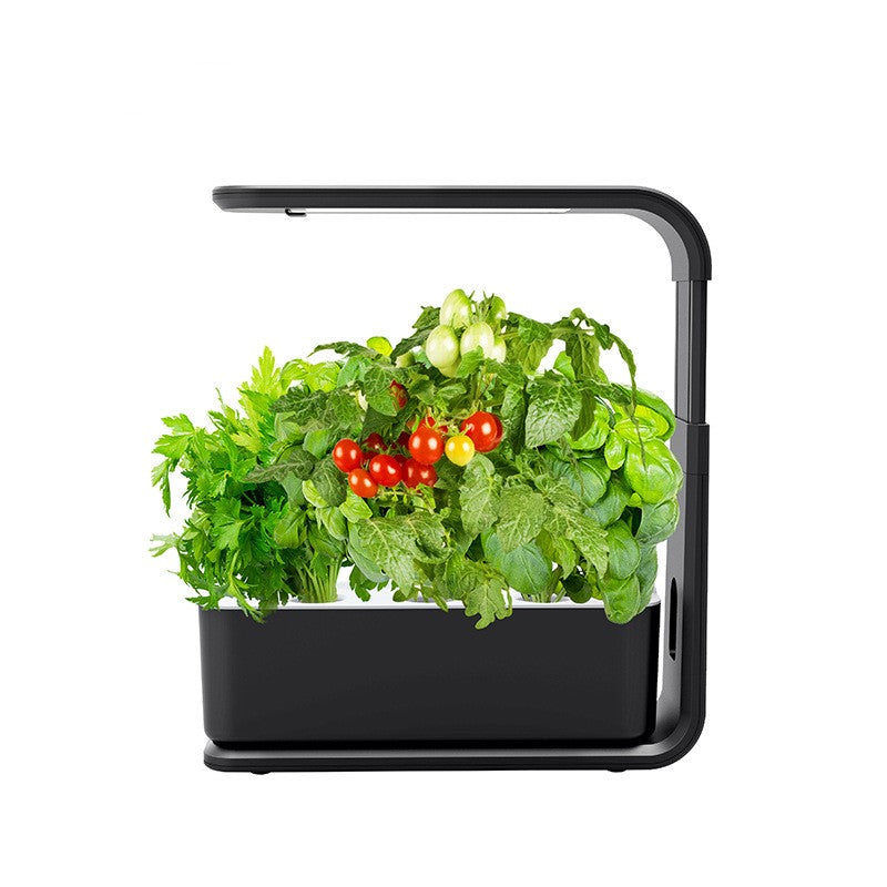 Indoor Plant Planter